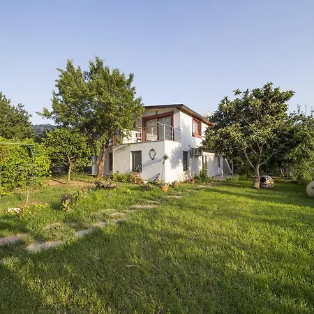 Mengen Konaklari 아파트호텔 *