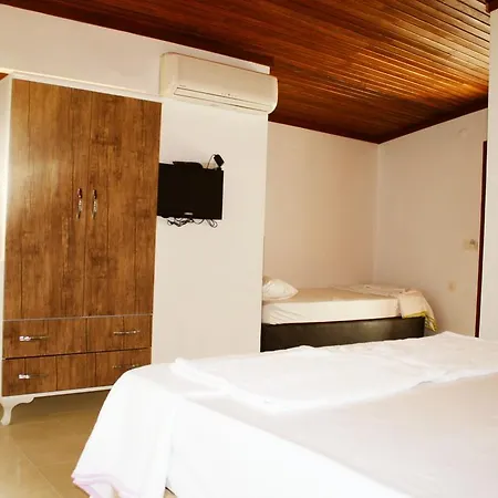 アパートホテル Mengen Konaklari